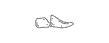 Illustration of the Shoe's inner workings
